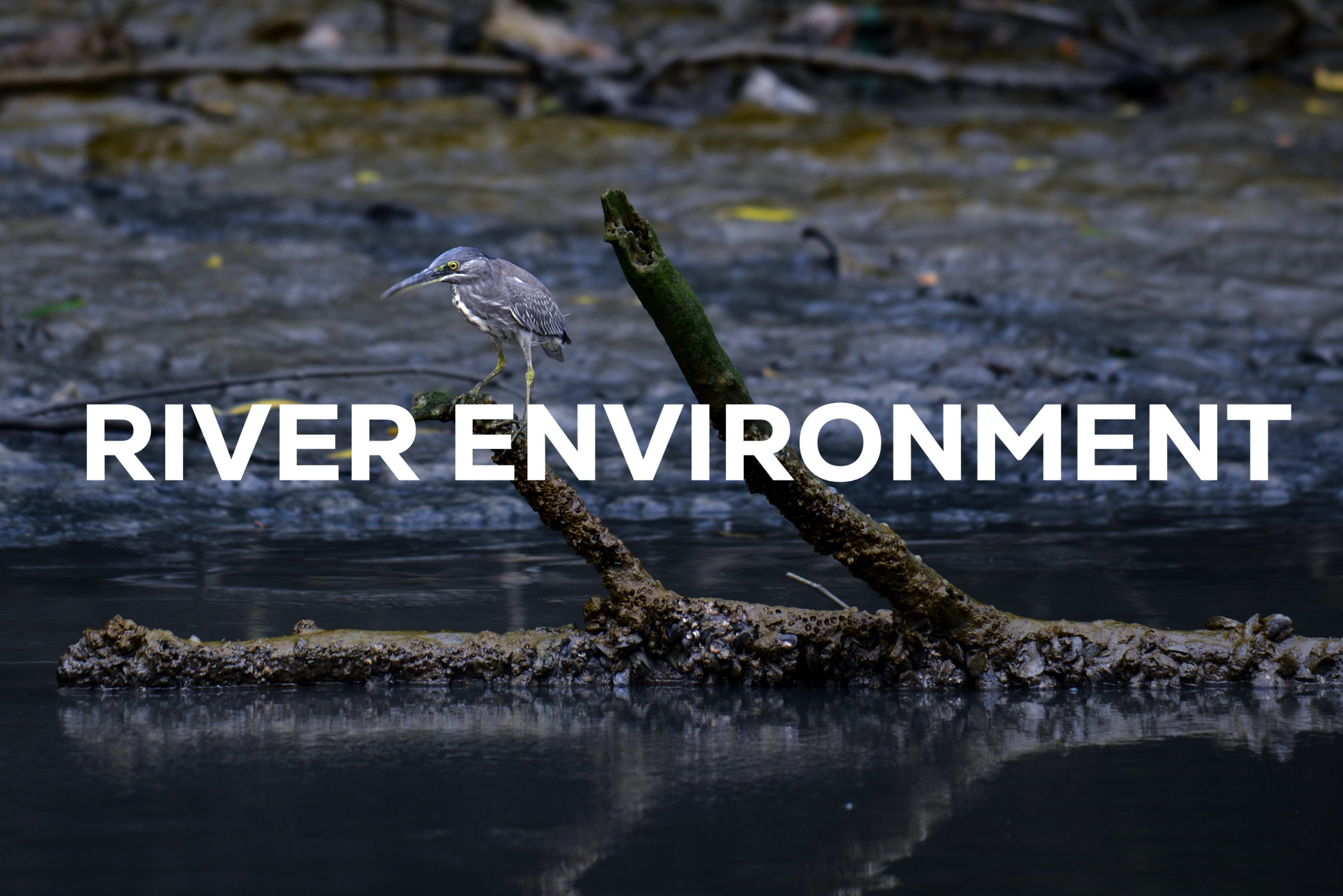 River Environment